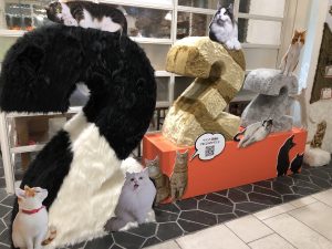 ヒカリエ猫☆【今後のご予約状況】