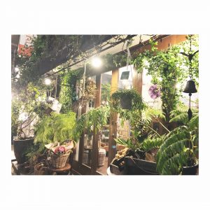 ご近所のお花屋さん【今後のご予約状況】