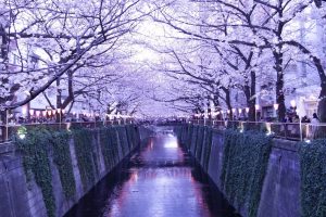 ご予約をお待ちしております。